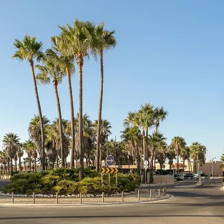 Salgados Premium By Da'home *